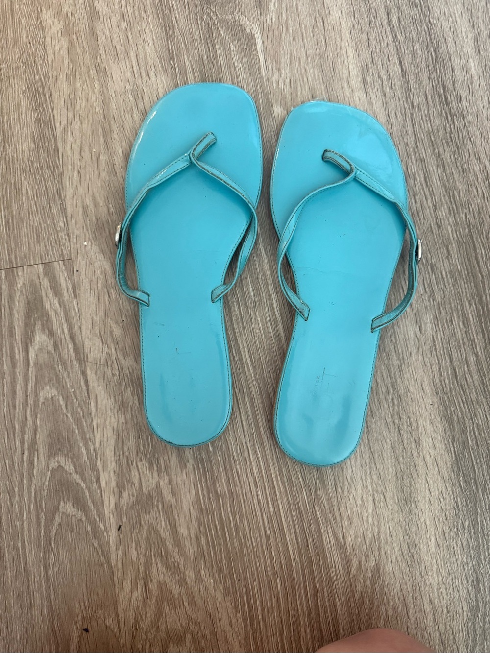 LOFT Turquoise Flip Flop Sandals